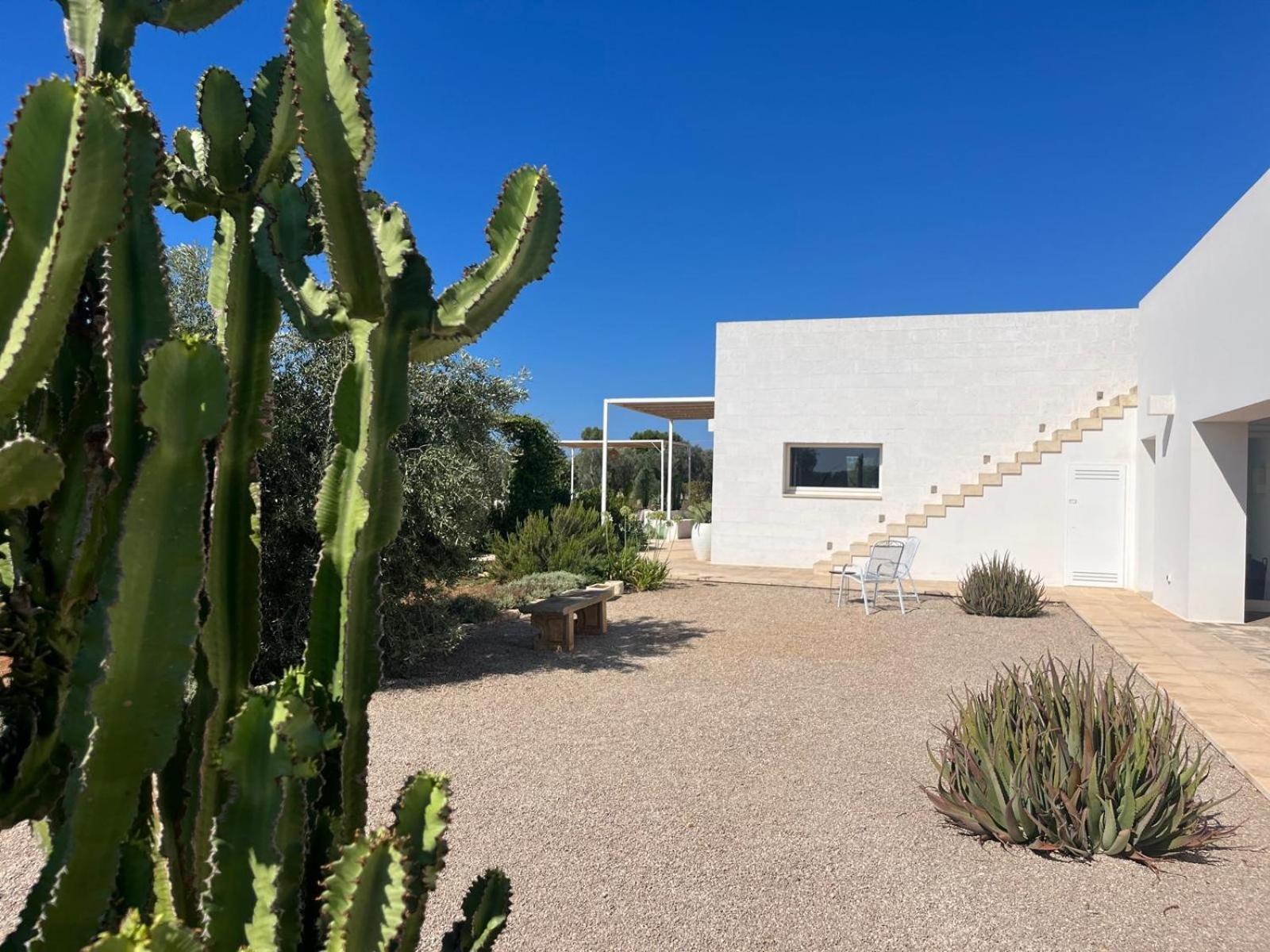 Villa Casa Bianca Di Porto Selvaggio サンタ・カテリーナ エクステリア 写真